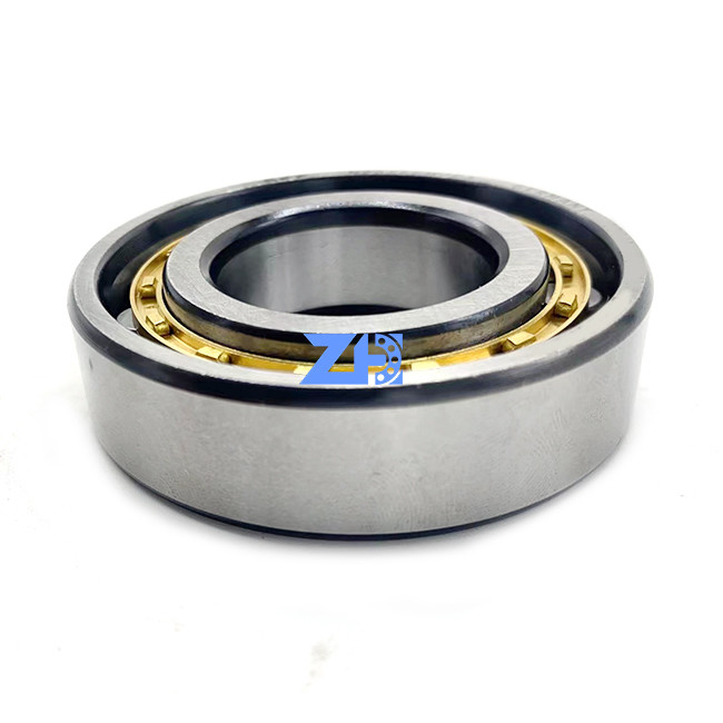 N206 N206E N206M N206EM N206ECM C3 30*62*16mm میله قفس بالینی بالینی